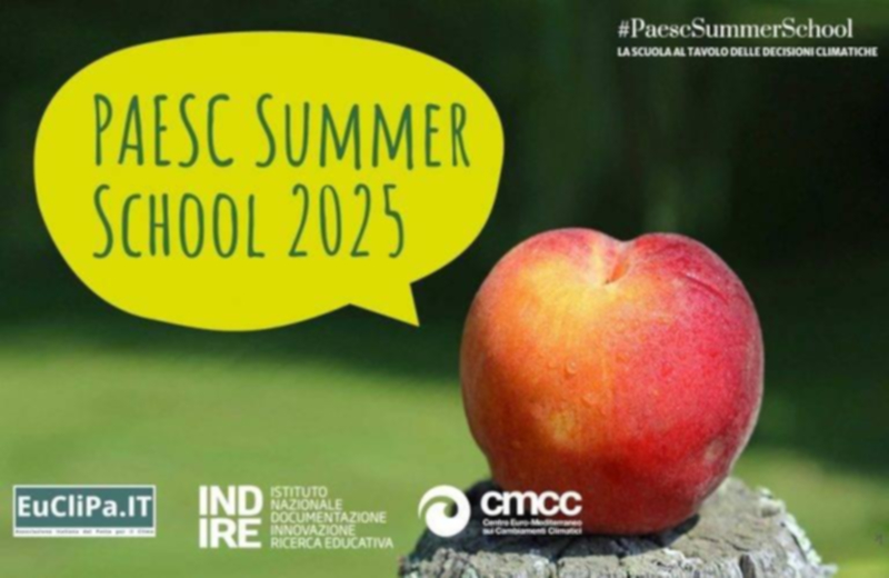 PAEC Summer School 2025